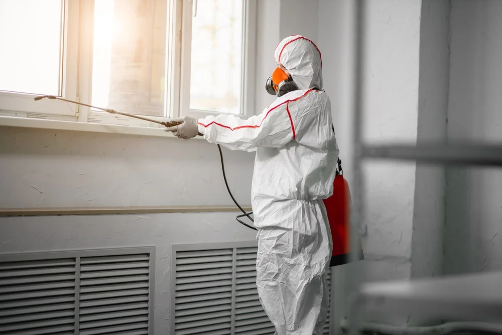 Professional mold remediation services in Baldwin Place, NY